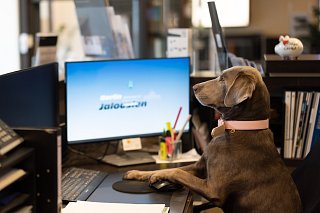 Bürokaufmann/frau (m/w/d)