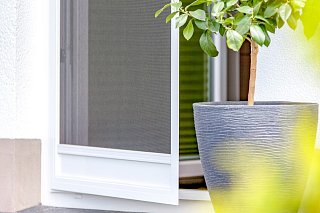 Robuster Insektenschutz für Türen